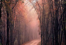 博鱼体育：亚冬会女子冰壶循环赛：中国队收获四连胜.