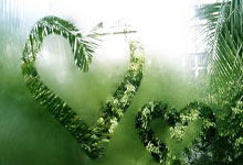 明天雷霆將迎戰魔術 加裏哈裏斯出戰情況尚不明朗 烏斯曼吉昂將復出.